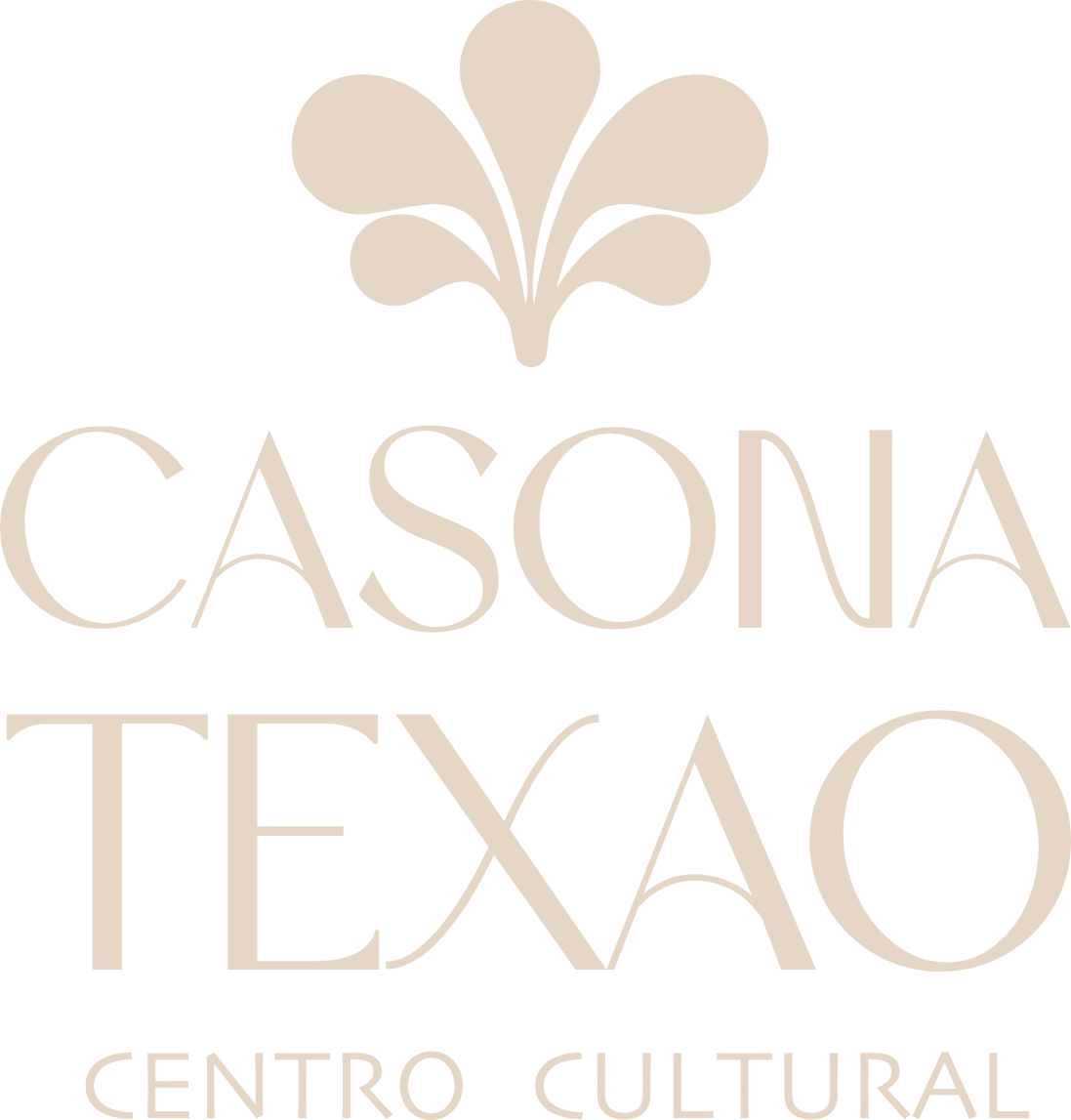 centroculturaltexao.com